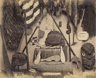 Maori Curios by Pulman Studio